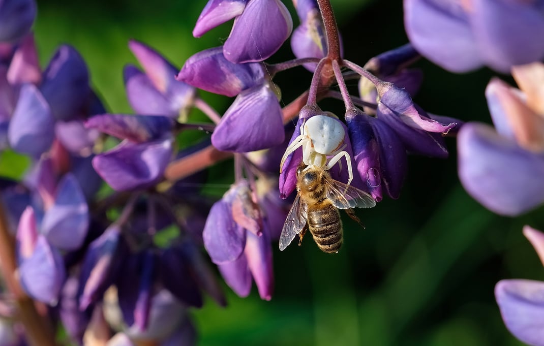 Fujifilm X-H1 & Fujinon XF 16-55mm / ISO 200 / 55mm / f/5.6 / 1/200sek.