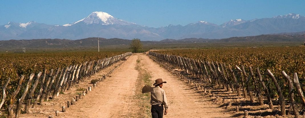 Rotwein Weine aus Südamerika Malbec Tannat Argentinien Uruguay