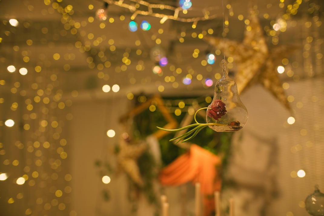 wedding-garden-party-flower