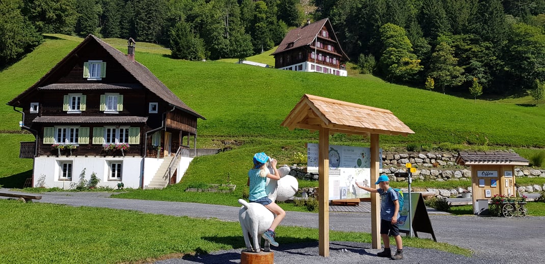 Erleben – schon mal auf einer Ziege geritten? Das musst du ausprobieren!