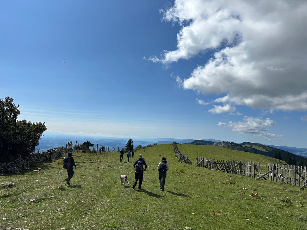 Geführte Wanderung - unterwegs mit einer tollen Wandergruppe – Natur erleben, gemeinsam unterwegs sein.
