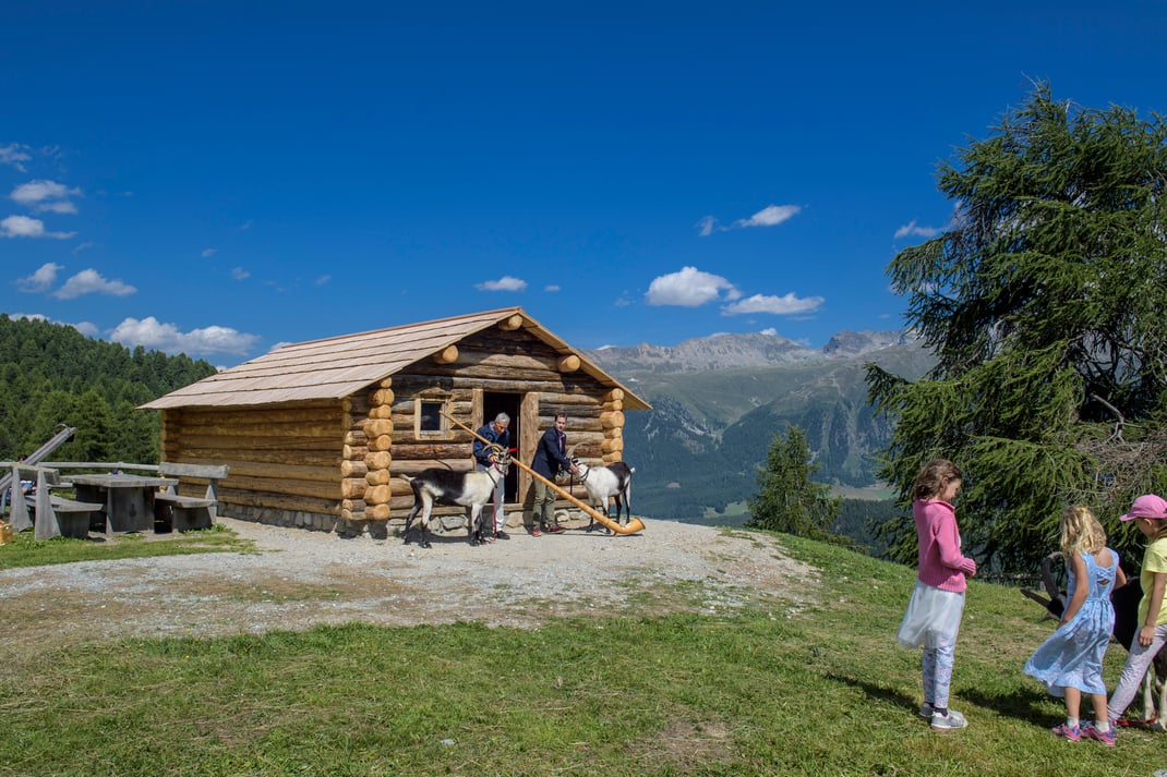 ©Giancarlo Cattaneo