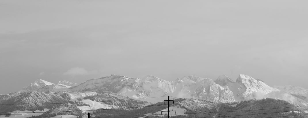 Führungsentwicklung für eine starke Unternehmensidentität. True Leadership: Leadership Training und Beratung mit Sitz in Zürich.