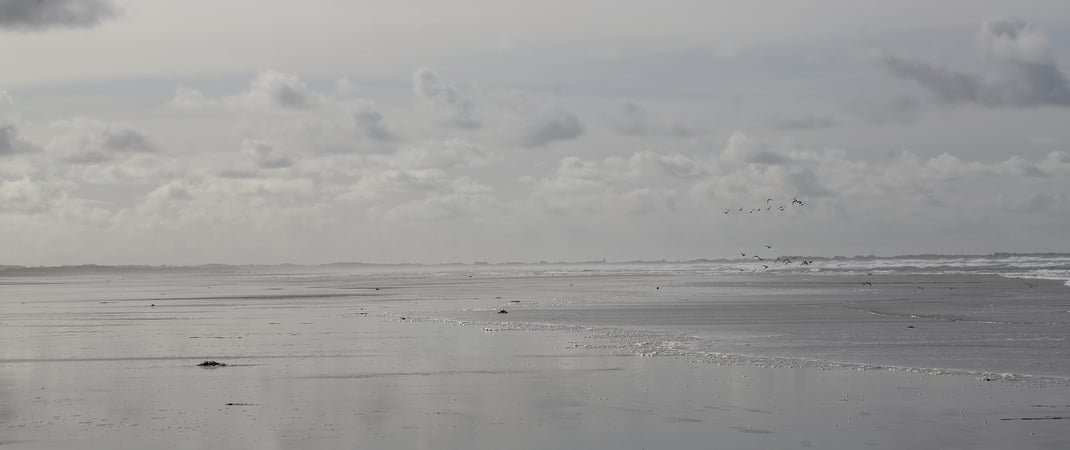 Leadership Entwicklung und Organisationsentwicklung – ein weites und faszinierendes Feld.