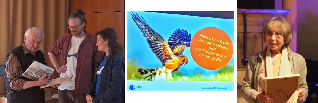 links: Herbert Klein, Christoph Saile, Marlis Heyer ©Paul Graf|  mittig: Wiesenweihe; lbv  |  rechts: Gudrun Pauldrach ©Marlis Heyer