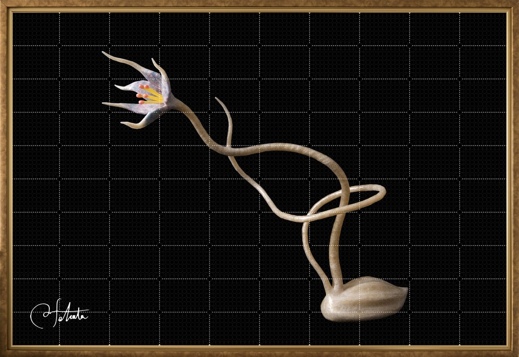 ラベル版画™️20981「セロフラワー オリジナル.11」