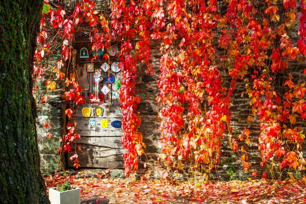Les Esperelles, Christian Clermon, Morgan Clermon et Estelle fabrique de bon produit régionaux 