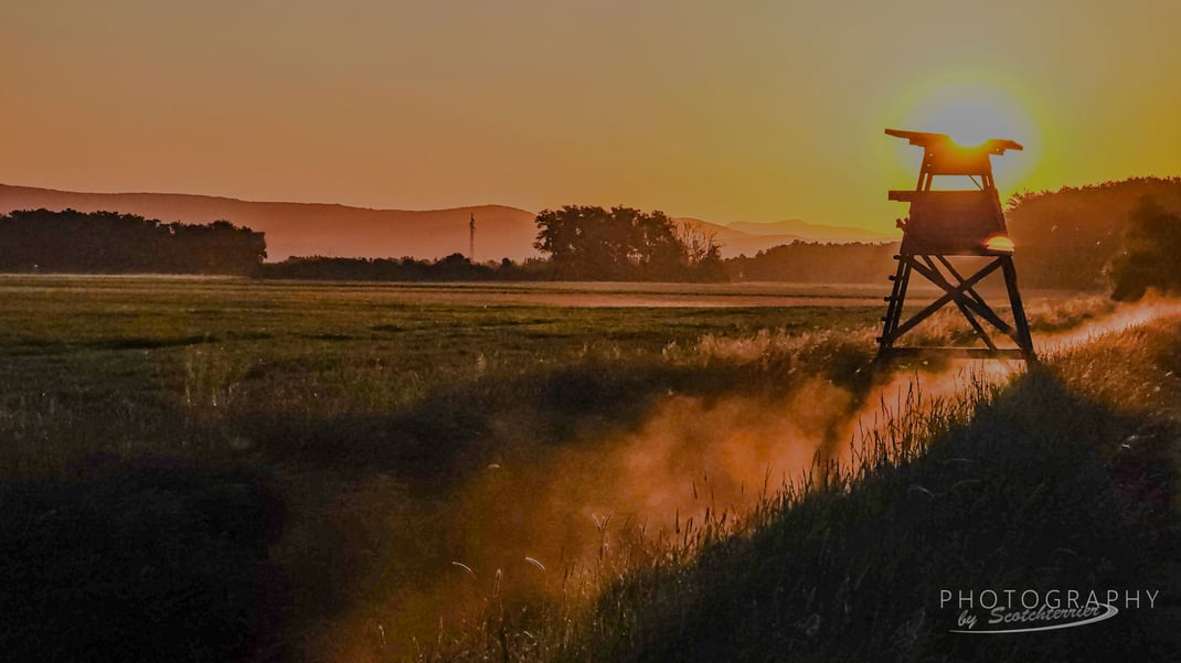 Morgen in den Angerwiesen bei Moosfürth (Fotograf: Norbert Geisberger)