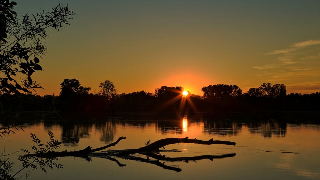 Die Isar bei Mamming (Foto: Joachim Aschenbrenner, Juli 2020)