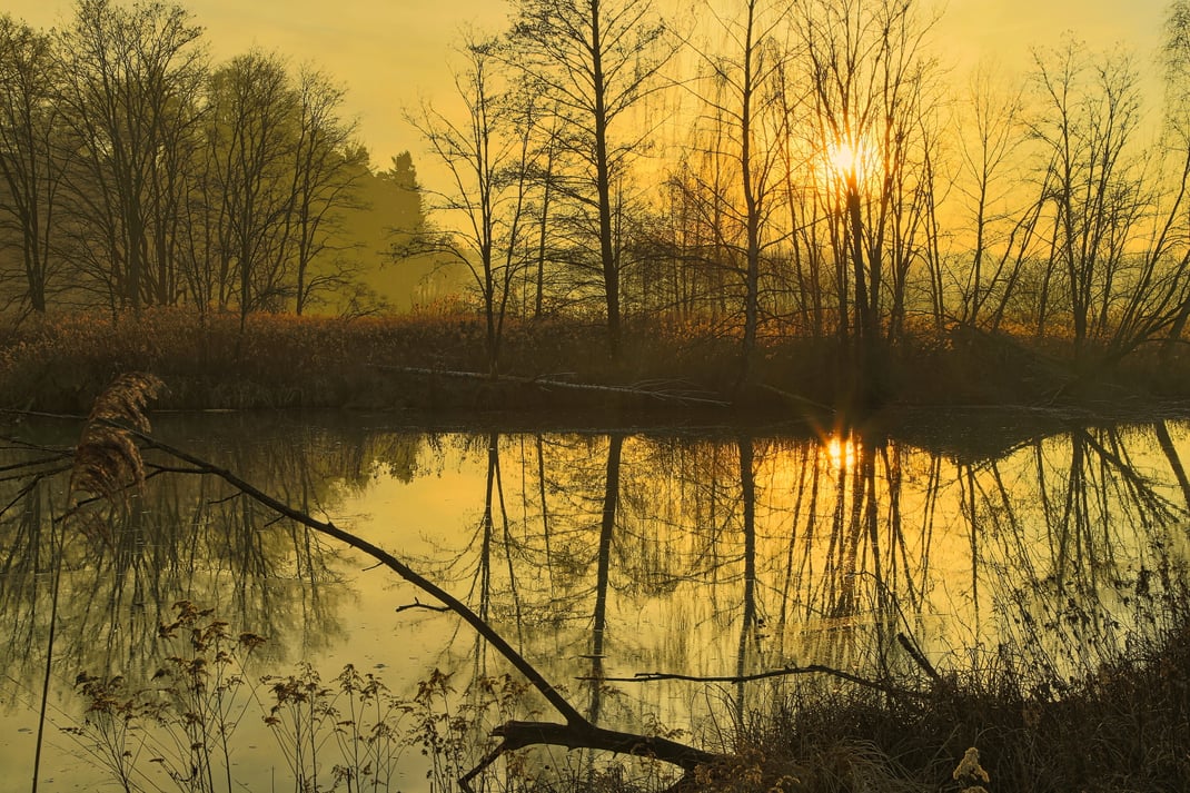 Die Isar bei Ettling im Januar 2020 (Foto: Joachim Aschenbrenner)