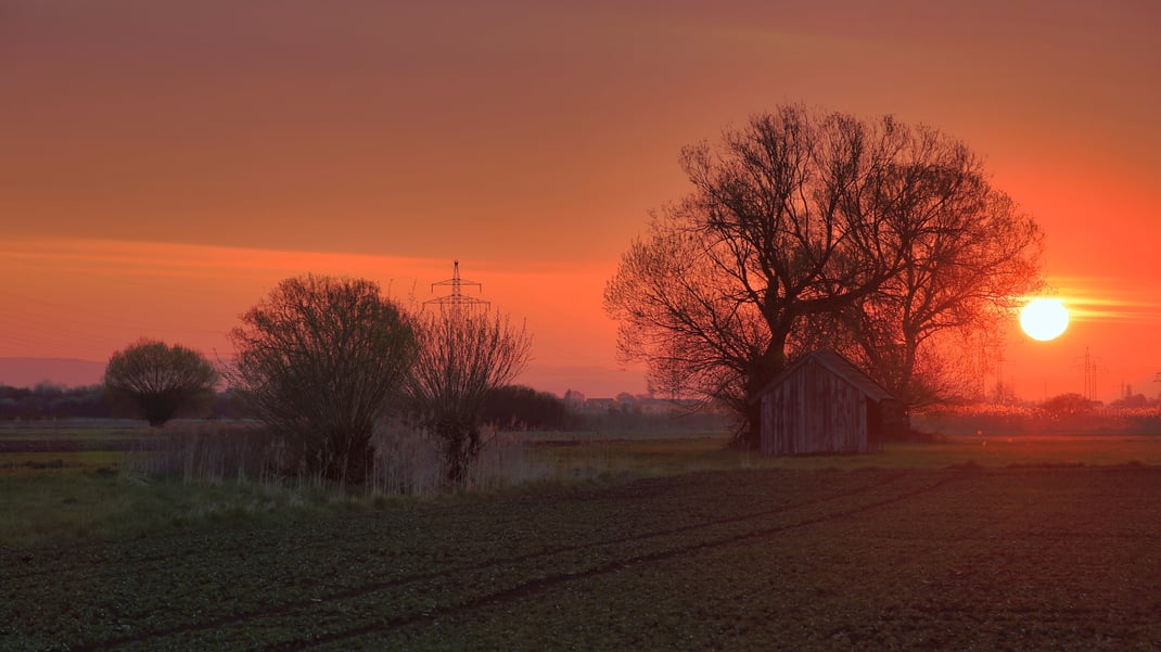 Ein Aprilmorgen im Königsauer Moos bei Töding (Foto: Joachim Aschenbrenner 2021).