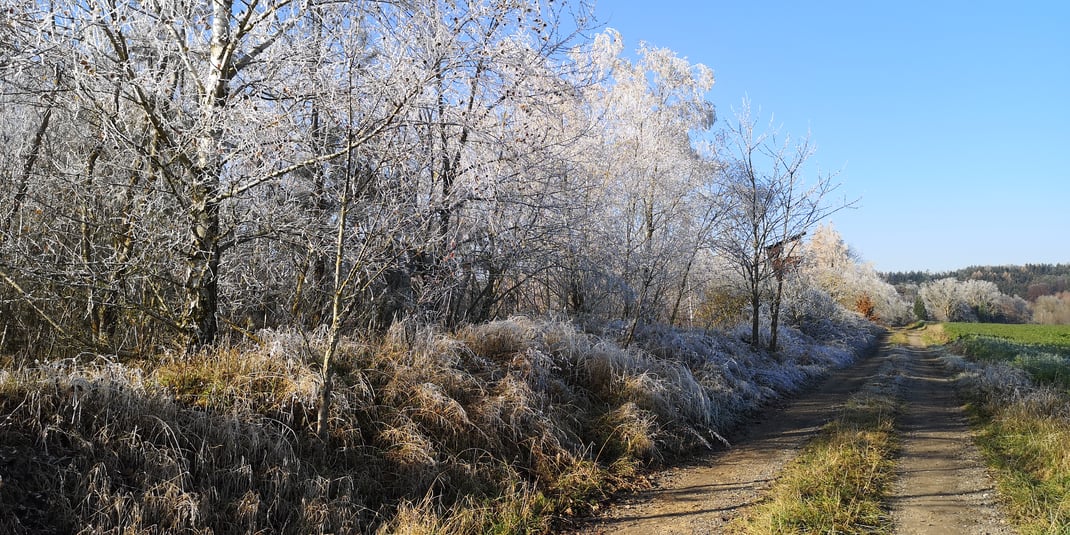 Landschaft mit Raureif im äußersten Westen des Landkreises Dingolfing-Landau (Foto: Michael Herzig, November 2020)