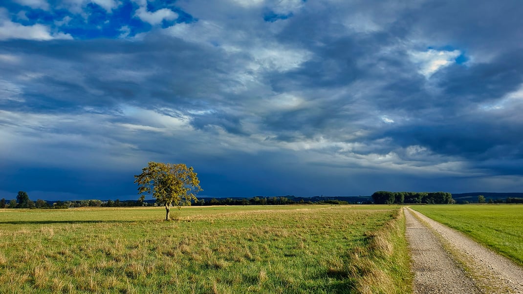 September Tiefdruckgebiete-2 im Königsauer Moos (Foto: Joachim Aschenbrenner, 2024)