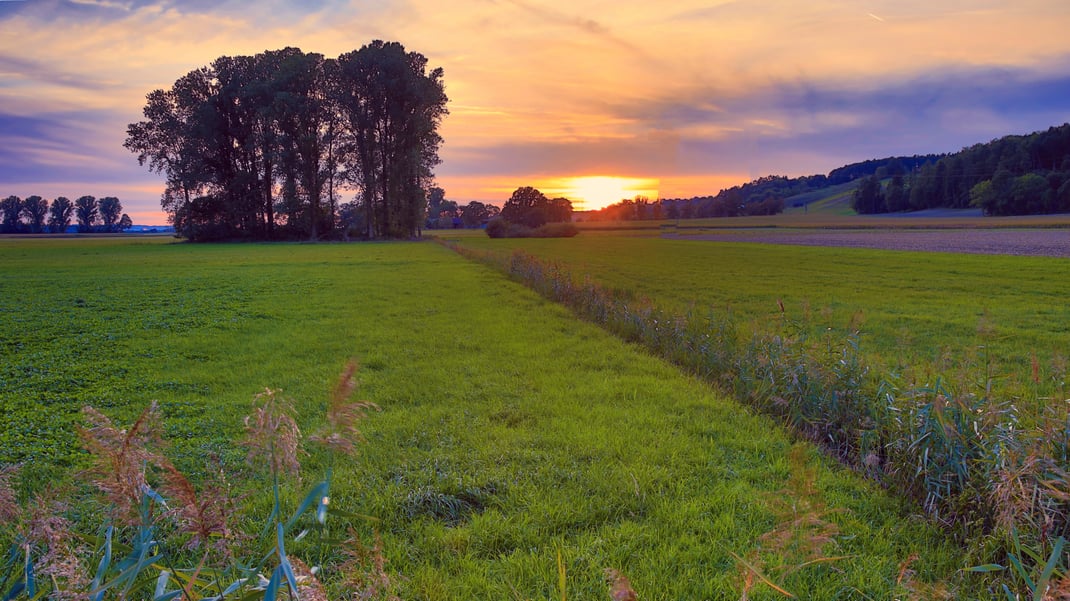 Abendstimmung im Königsauer Moos bei Töding, September 2023 (Foto: Joachim Aschenbrenner)