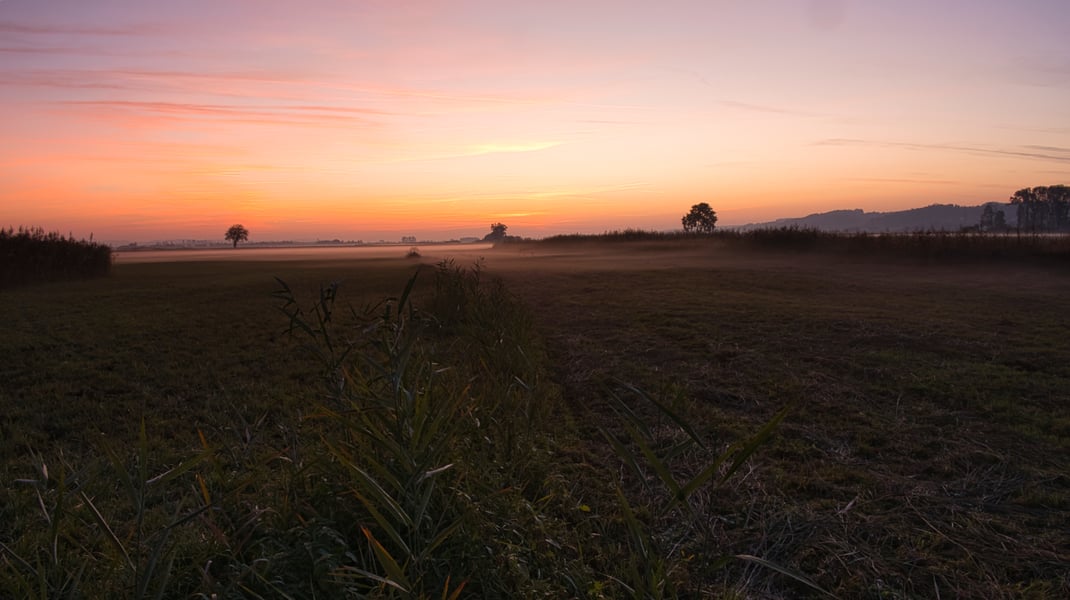 Wenn im Moos die Nacht anbricht (Foto: Joachim Aschenbrenner, Oktober 2024)
