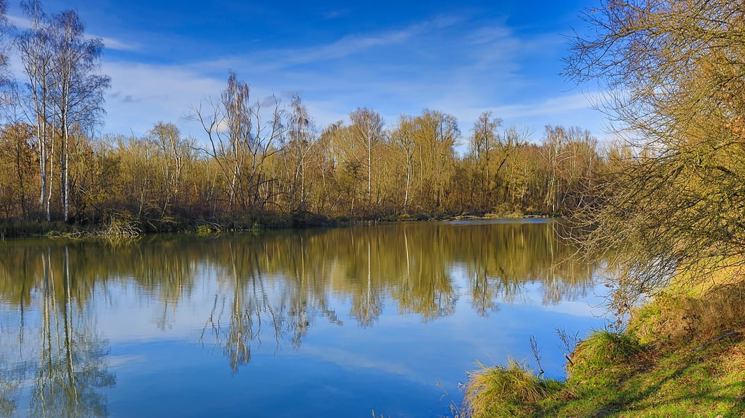 Ungewöhnlicher Dezembertag an der Isar bei Mamming (Foto: Joachim Aschenbrenner, 2024)