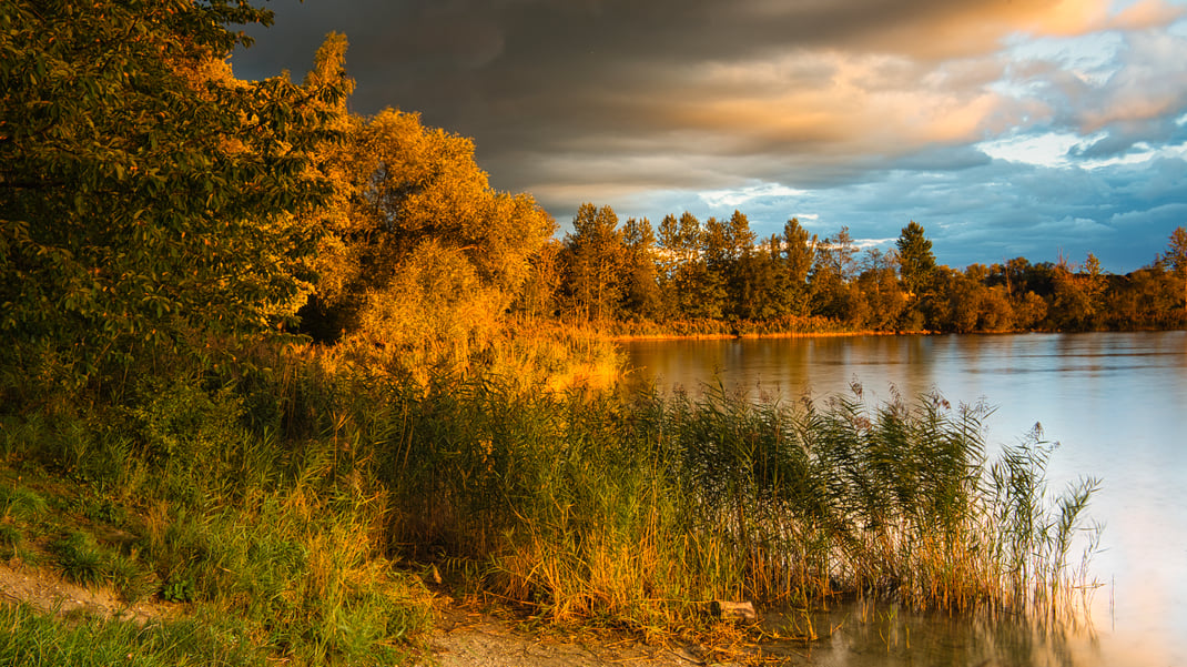 Am Mossandl Badesee bei Mamming. Starke Regenfälle prägen den September 2021 (Foto: Joachim Aschenbrenner Sept.)
