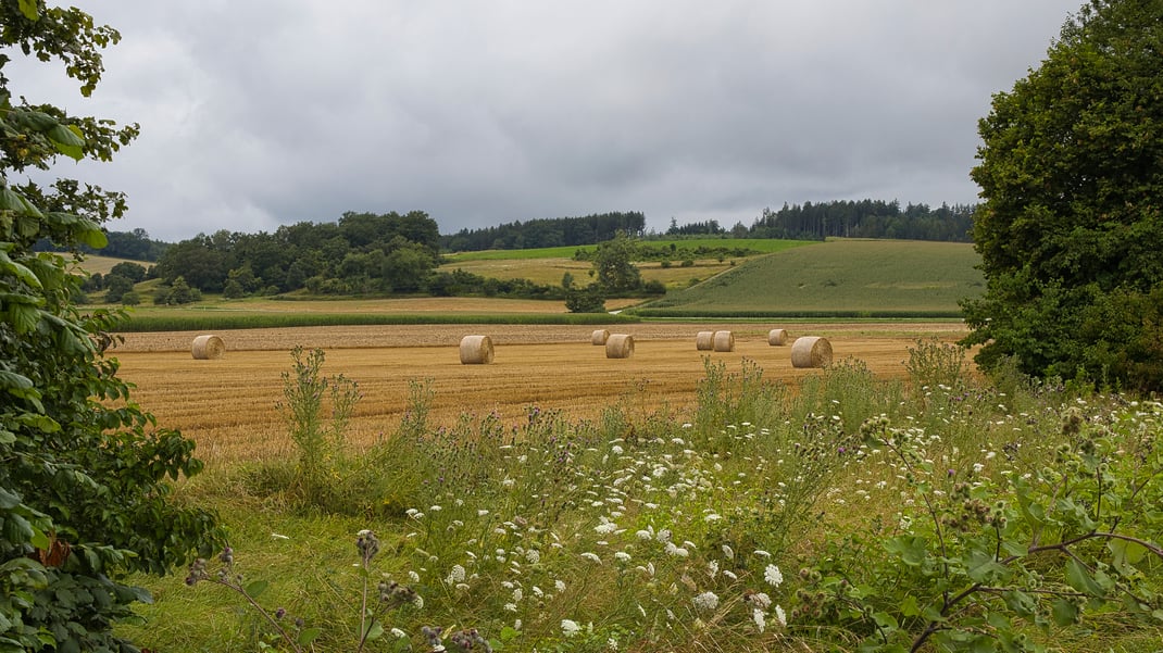 Gewitter und Hitzetage wechseln sich im Sommer 2024 laufend ab. Felder bei Leonsberg (Foto: Joachim Aschenbrenner)