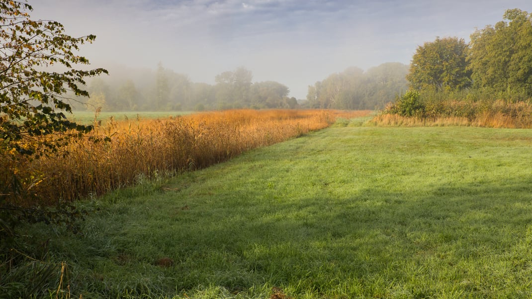Es wird Herbst im Königsauer Moos (Foto: Joachim Aschenbrenner, Okt. 2023)