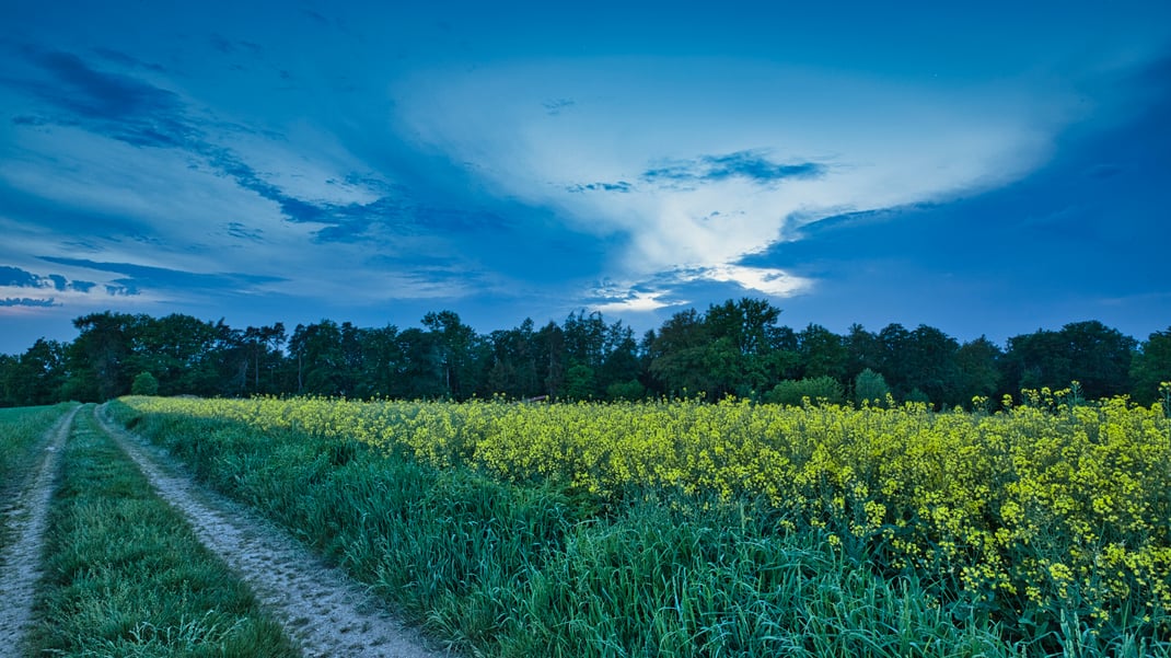 Gewitterstimmung im nördlichen Hügelland (Foto: Joachim Aschenbrenner Mai 2022)