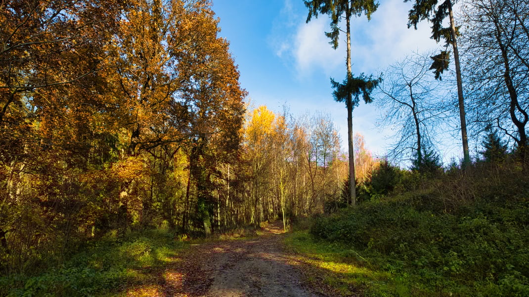 Wege hinter Habich II (Foto: Joachim Aschenbrenner 2021)