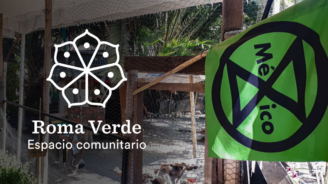 Le Huerto Roma Verde, un projet de permaculture urbaine au coeur de la ville de Mexico