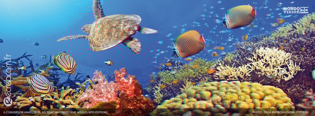 Conversion en anaglyphe 3D : Océan