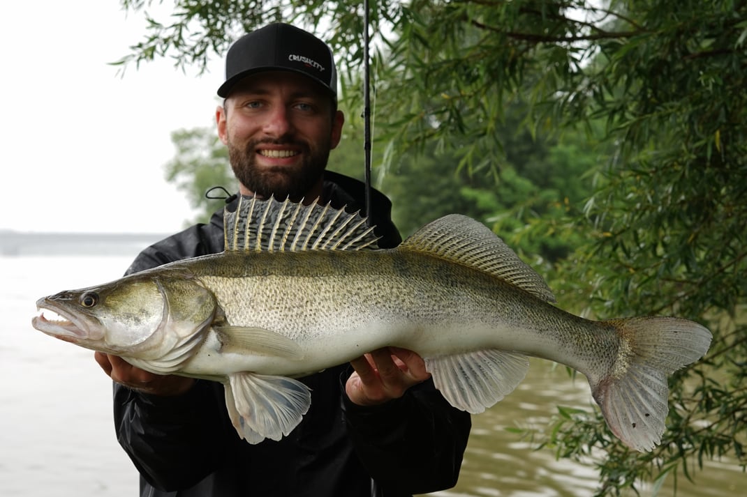 Johannes Höfner | Schill/Zander | Sander lucioperca | 75,5cm | Donau | Österreich | 10. Juni 2024