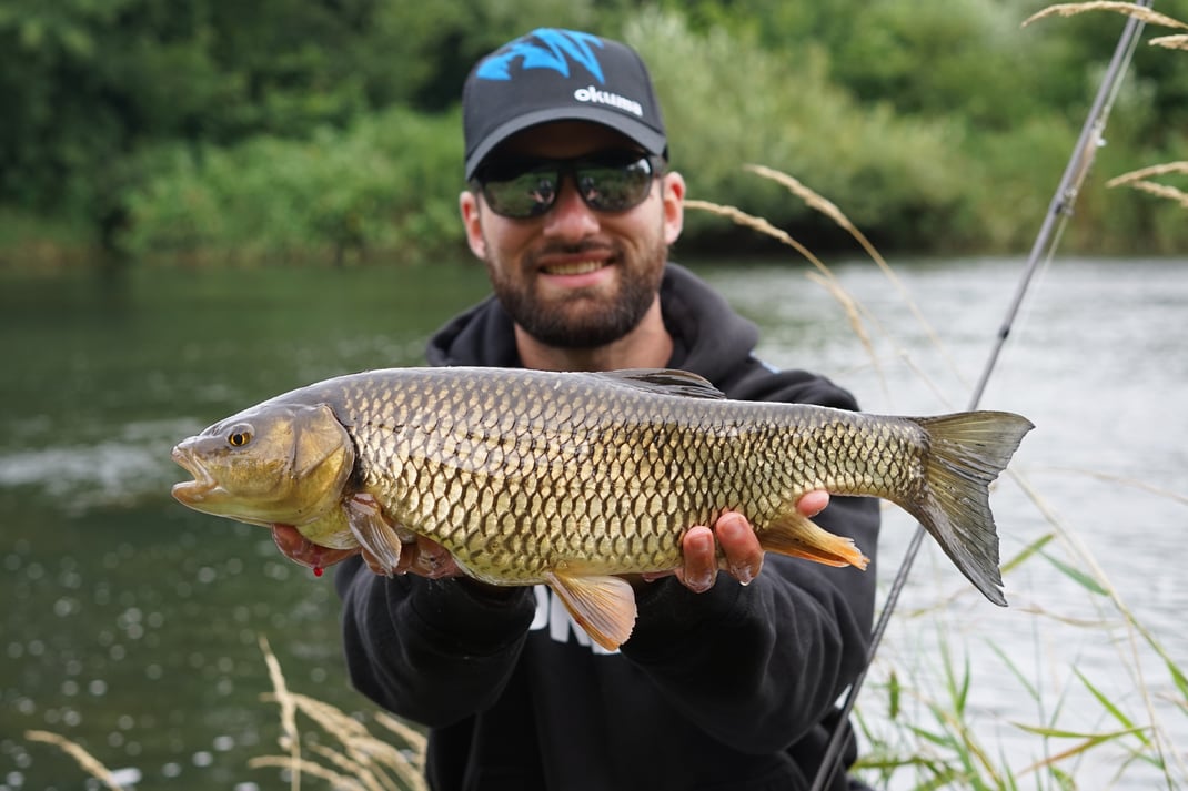 Johannes Höfner | Aitel/Döbel | Squalius cephalus | 54cm | Traisen | Österreich | 7. Juli 2022