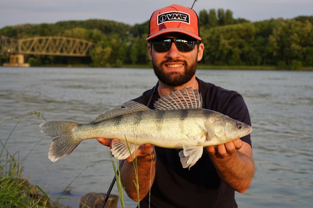 Johannes Höfner | Steinschill/Wolgazander | Sander volgensis | 52cm | Donau | Österreich | 2. Juni 2023