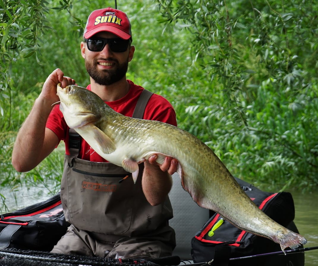 Johannes Höfner | Europäischer Wels/Waller/Wels | Silurus glanis | 97cm | Donau | Österreich | 16. Juni 2020