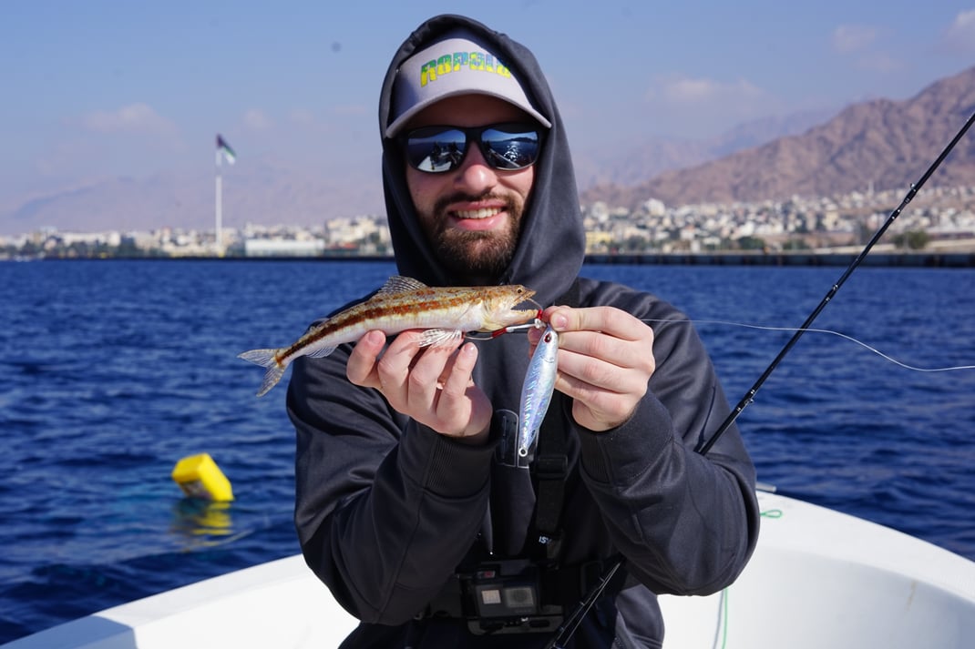 Johannes Höfner | ? | Synodontidae sp. | 25cm | Golf von Akaba | Jordanien | 5. Jänner 2023