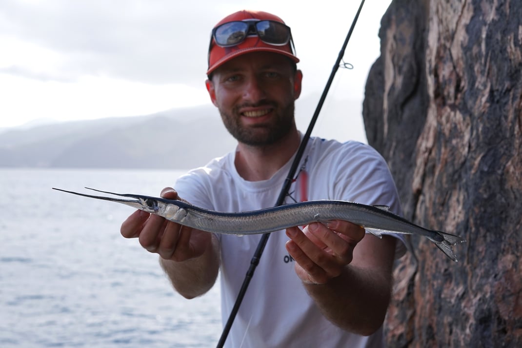 Johannes Höfner | Hornhecht | Belonidae sp. | 55cm | Atlantischer Ozean | Portugal | 31. Mai 2025