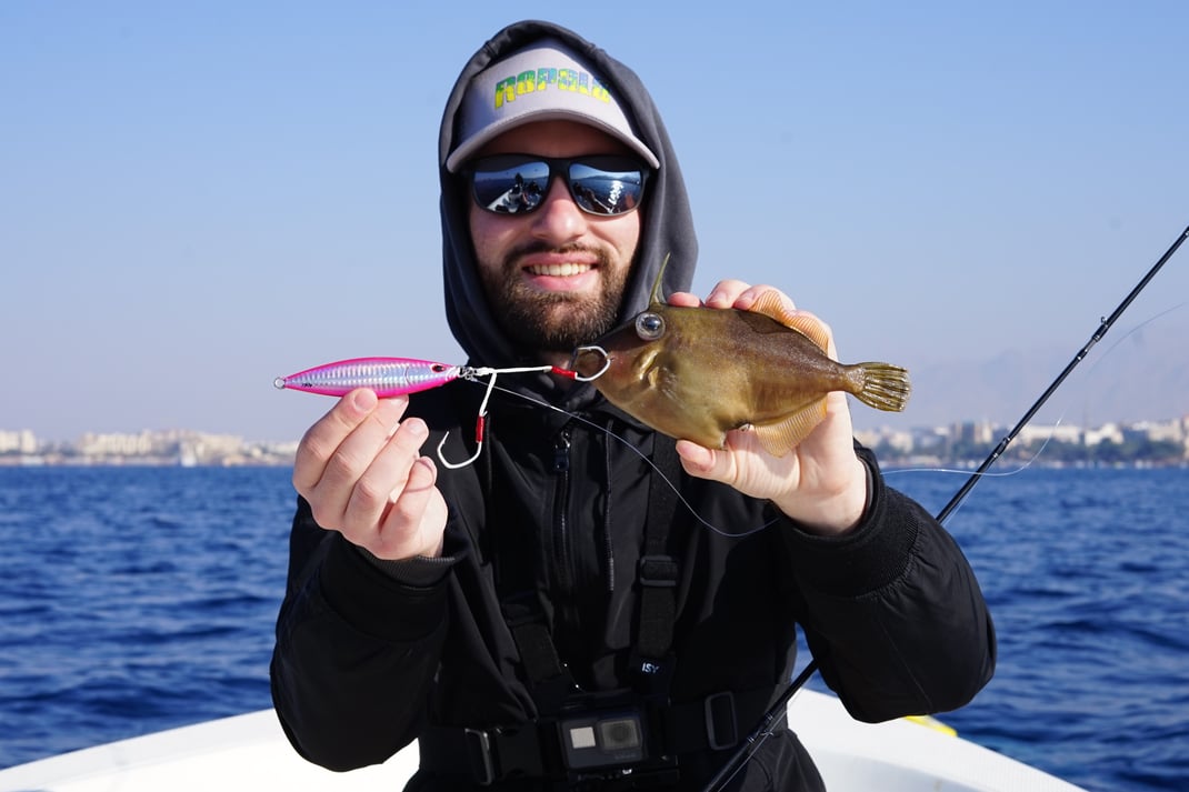 Johannes Höfner | ? | Monacanthidae sp. | 20cm | Golf von Akaba | Jordanien | 5. Jänner 2023