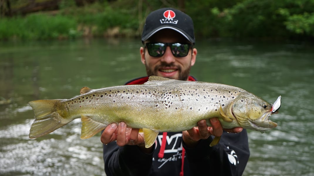 Johannes Höfner | Bachforelle | Salmo trutta | 57cm | Fladnitz | Österreich | 16. Mai 2021