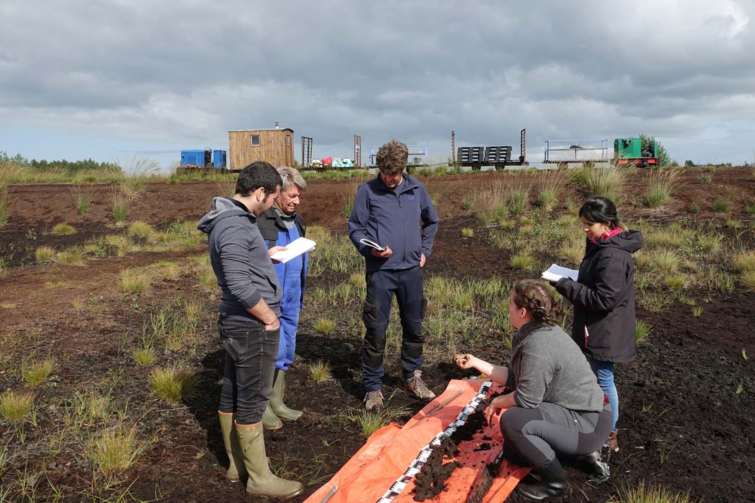 Bodenproben von der Uni im Himmelmoor