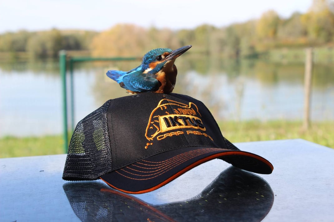 pêche de l'esturgeon à Iktus