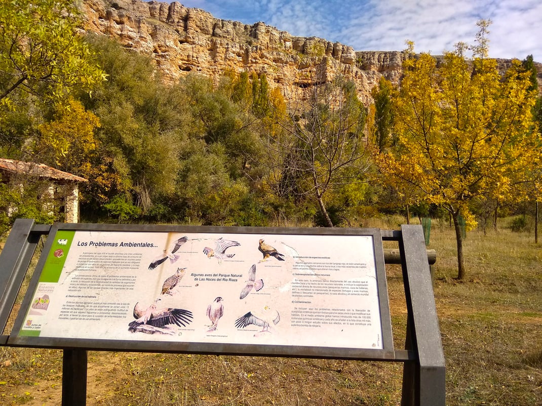 Hocesl del Río Riaza, Segoiva