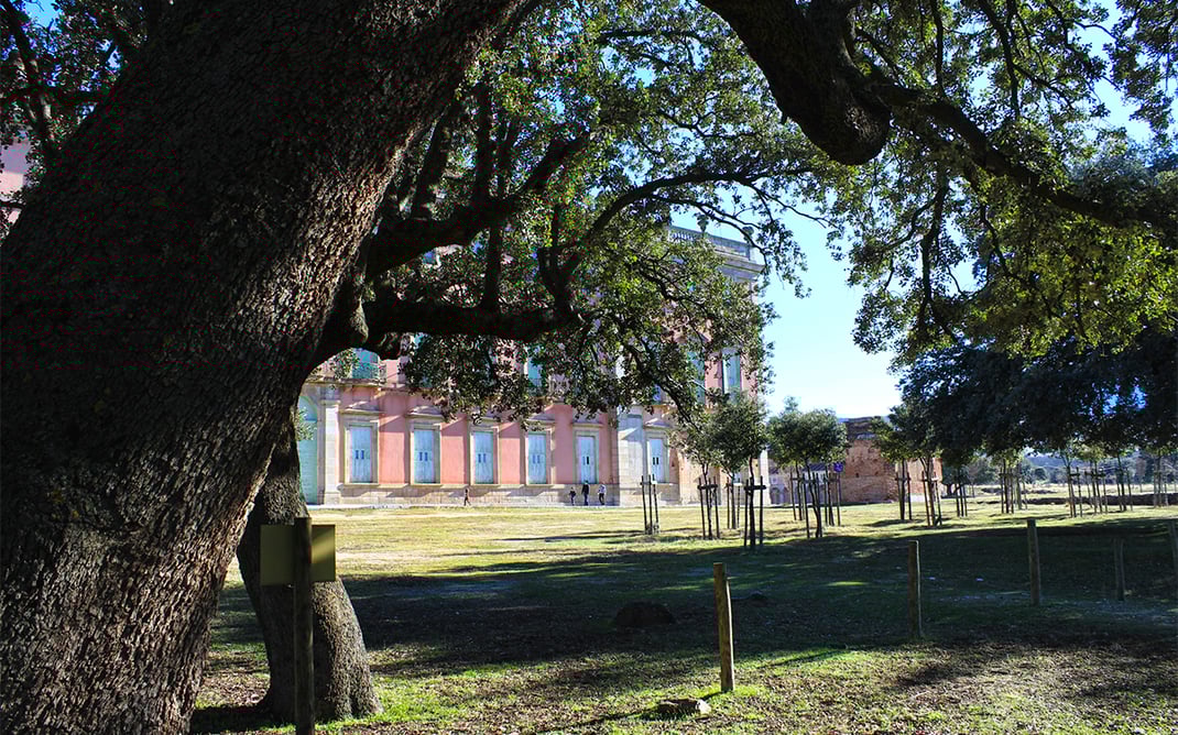Bosque de Riofrío (Palacio de Riofrío en Segovia)