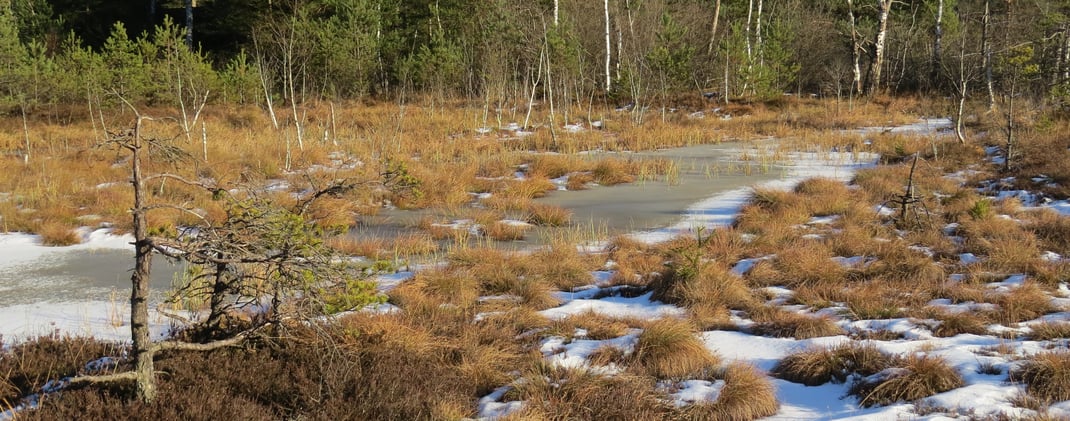 Spatenbräufilz, Foto: Andrea Arends