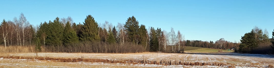 Vor der Maßnahme, Foto: Sabine Tappertzhofen