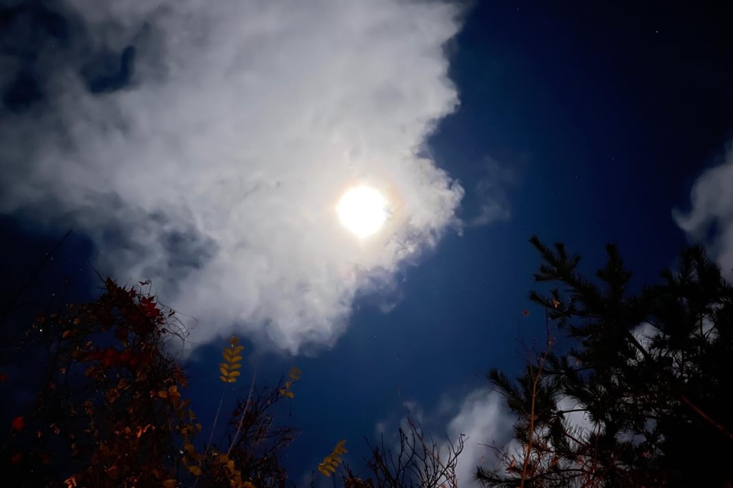 月夜に見上げた空