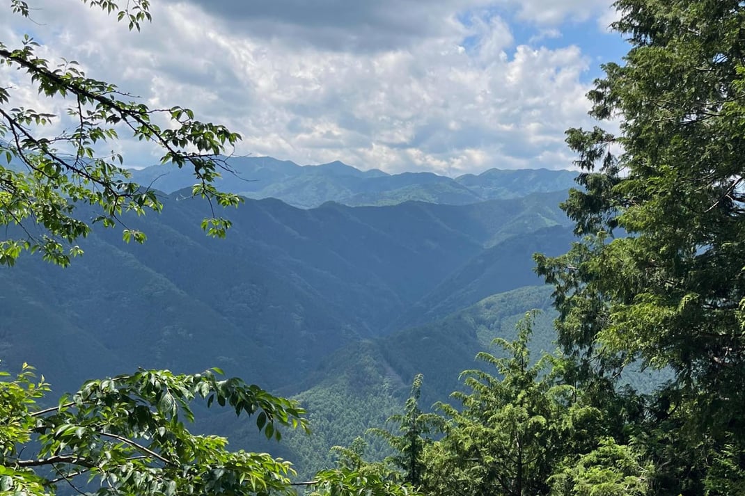 樹々の間からみる山の稜線