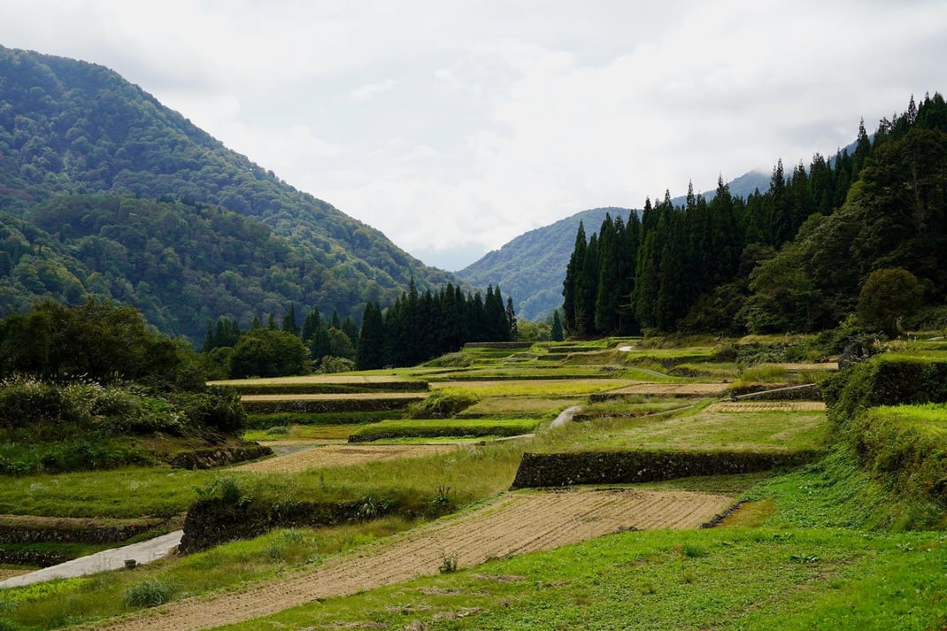 人と自然がつくった棚田