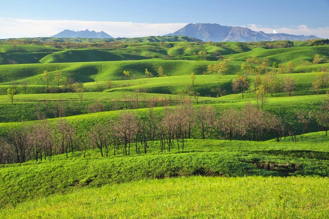 鎮守の丘から広大な草原を眺める。自然との対話、自分との対話の時間。
