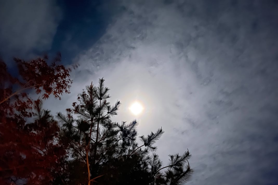 月の名所であることを思い出す