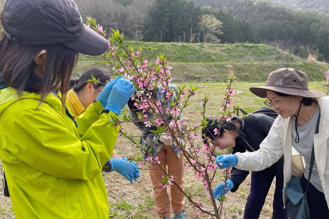 摘花のレクチャー後に皆んなで確認しながら
