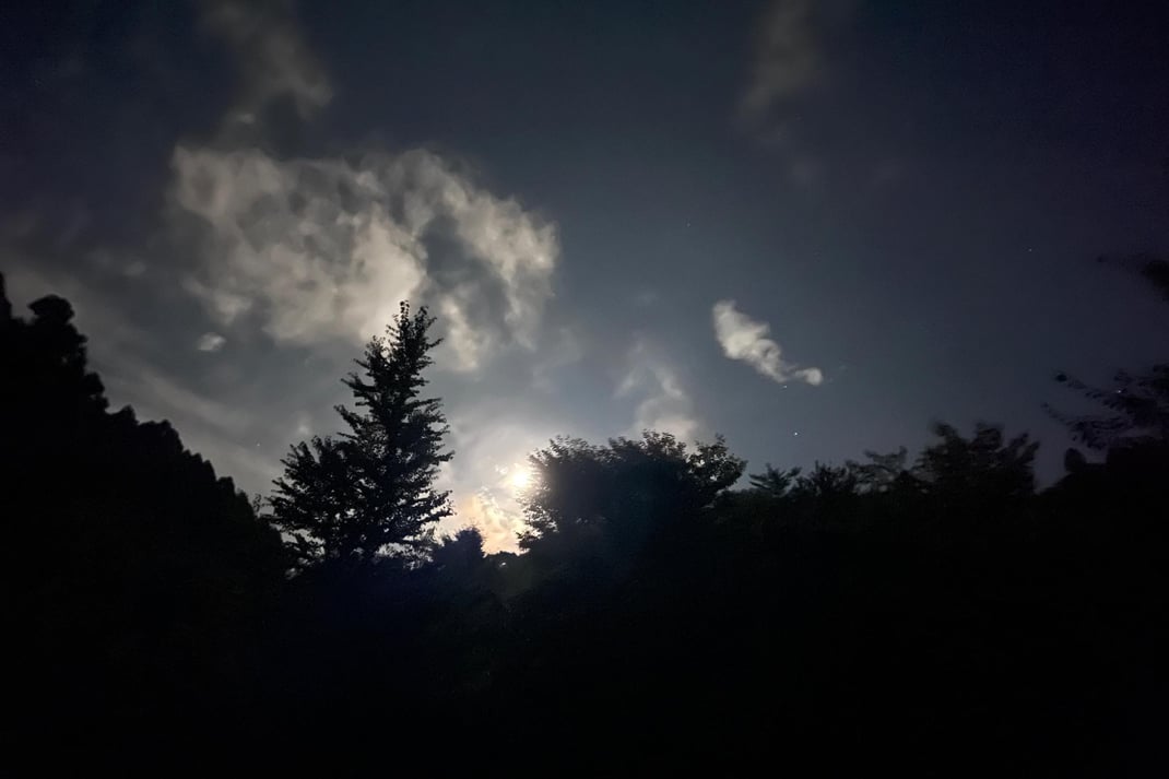 月光浴（Nomadic2023より）