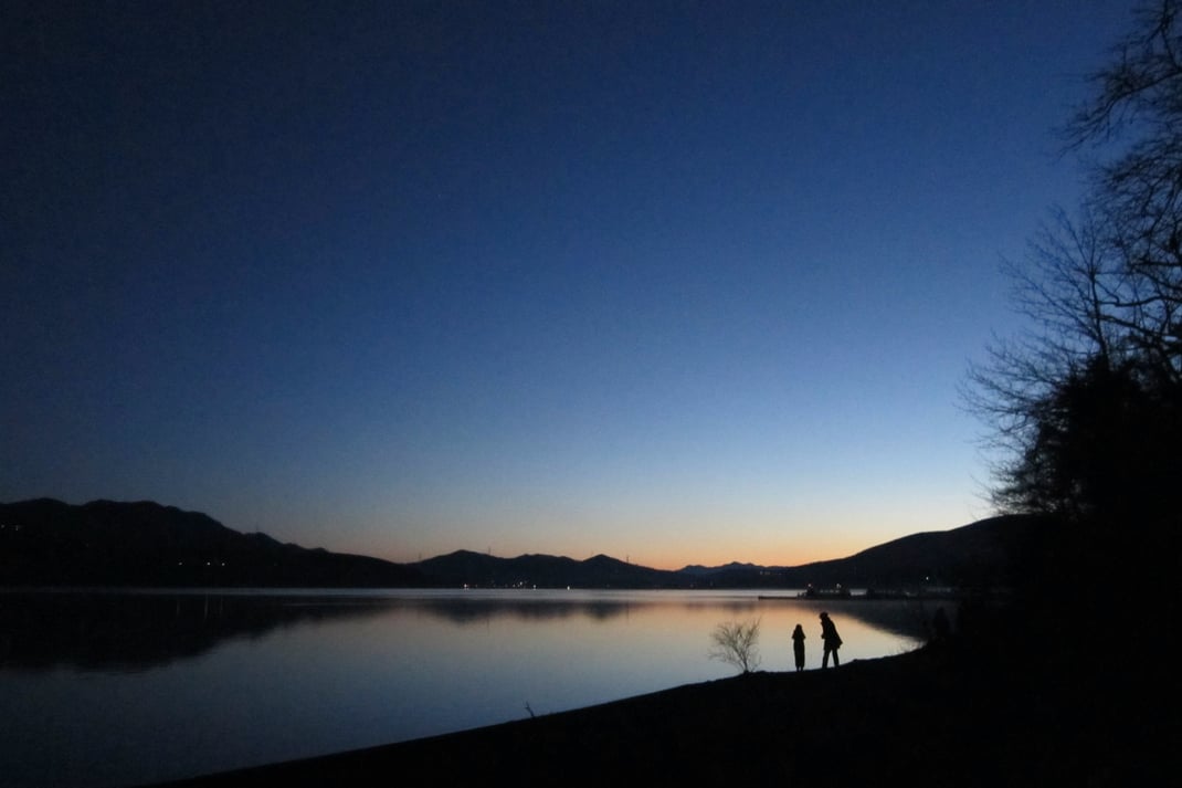 静かな森の夜明け