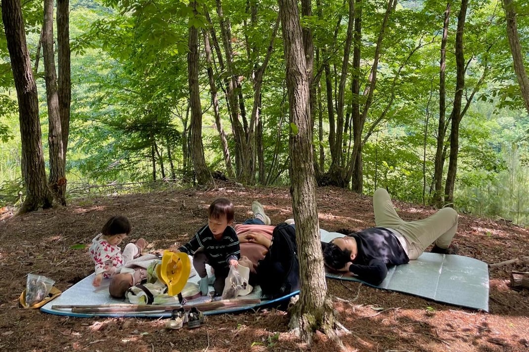 森でお昼寝